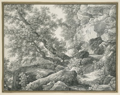 Paesaggio roccioso con alberi da Johann Christian Reinhart