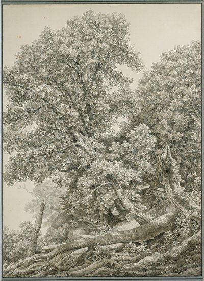  da Johann Christian Reinhart