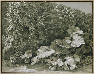  da Johann Christian Reinhart