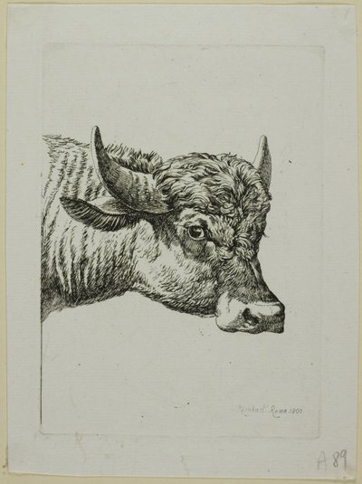 Testa di bufalo, da Die Zweite Thierfolge da Johann Christian Reinhart