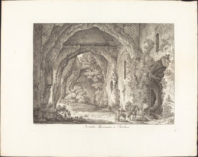 In Villa Mecenate da Johann Christian Reinhart