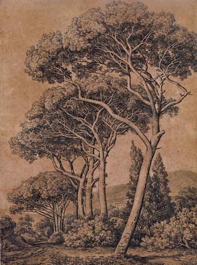 J C Reinhart Pini a ombrello 1791 da Johann Christian Reinhart
