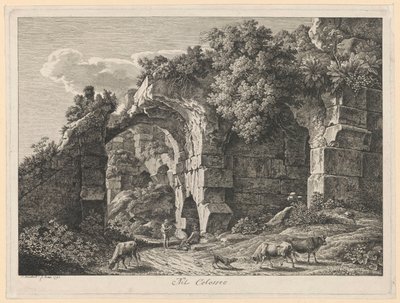 Paesaggio - Nel Colosseo da Johann Christian Reinhart