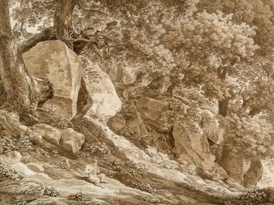 Paesaggio roccioso con Pan che suona il flauto (Nel parco della Villa Chigi, Ariccia) da Johann Christian Reinhart