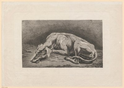 Levriero addormentato da Johann Christian Reinhart