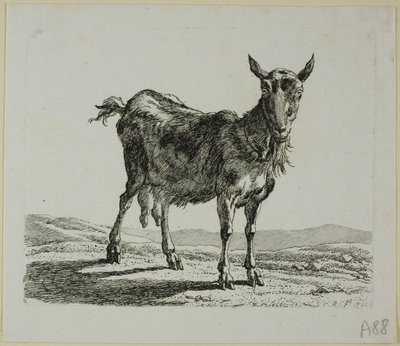 Capra in piedi, da Die Zweite Thierfolge da Johann Christian Reinhart