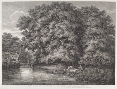 Il mulino alle grandi querce da Johann Christian Reinhart