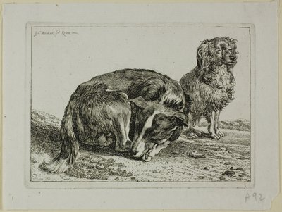 Due cani a riposo, da Die Zweite Thierfolge da Johann Christian Reinhart