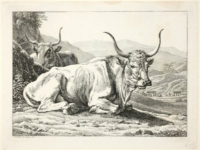 Due tori romani a riposo, da Die Zwiete Thierfolge da Johann Christian Reinhart