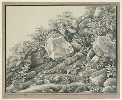 Studio di primo piano: rocce, cespugli, felci e piante a foglia da Johann Christian Reinhart