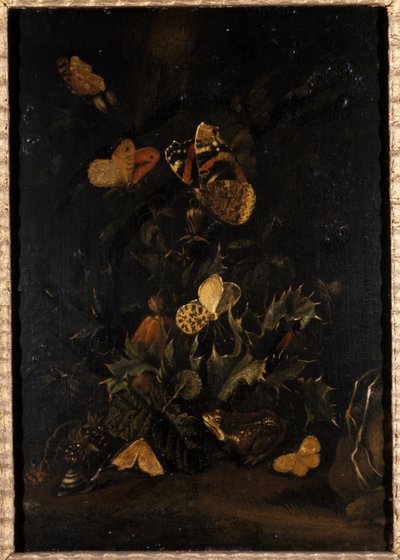 Fiori con farfalle e rospo da Johann Christian Thomas Winck