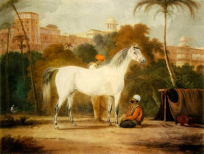 La cavalla reale di Carlo II, c1685, 1944 da Johann Christof Sartorius