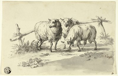 Pecore da Johann Christoph Kimpfel
