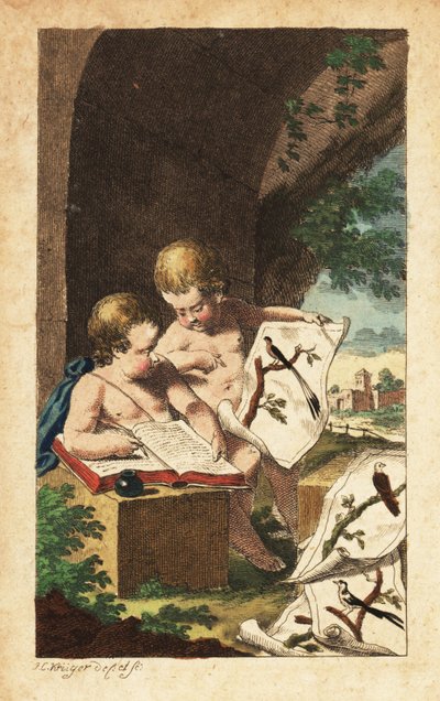 Due giovani ornitologi che studiano stampe di uccelli da Johann Conrad Kruger
