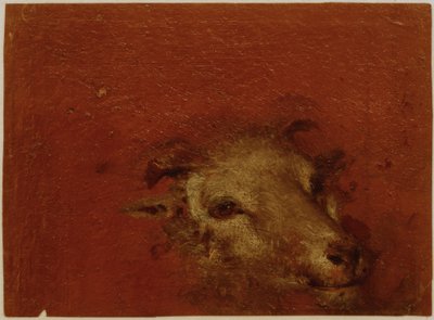Testa di capra da Johann Conrad Seekatz