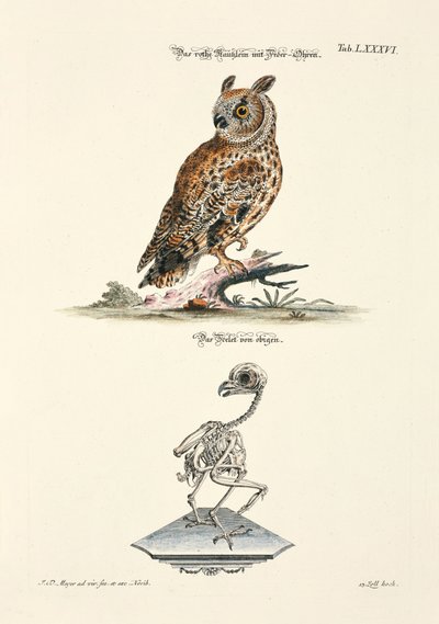  da Johann Daniel Meyer