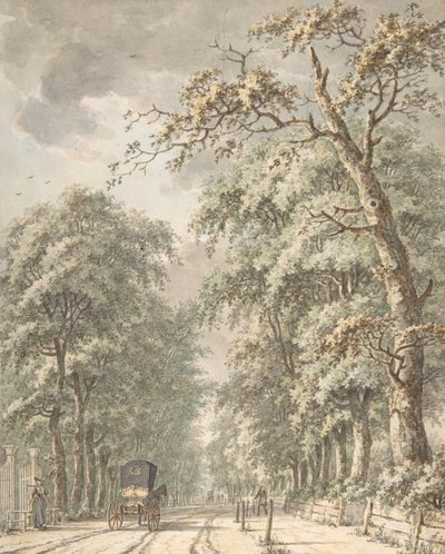 La strada di Amstelveen da Amsterdam verso Amstelveen, metà XVIII secolo - fine XVIII secolo da Johann Edler Goll van Franckenstein