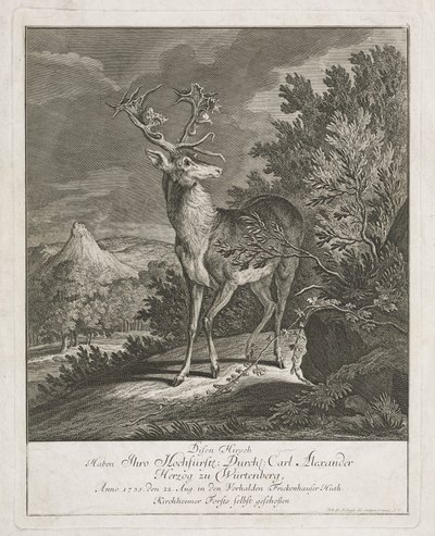 Un magnifico cervo in un paesaggio da Johann Elias Ridinger