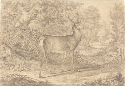 Un giovane cervo splendido davanti a una recinzione di vimini da Johann Elias Ridinger