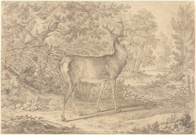  da Johann Elias Ridinger