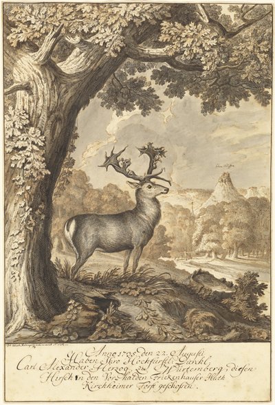 Un cervo sotto una grande quercia da Johann Elias Ridinger