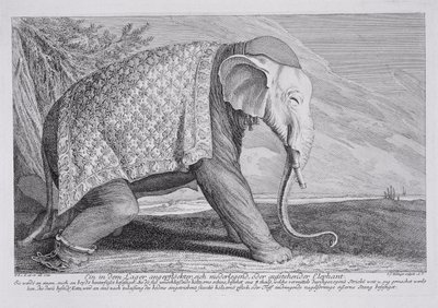 Un elefante da Johann Elias Ridinger or Riedinger