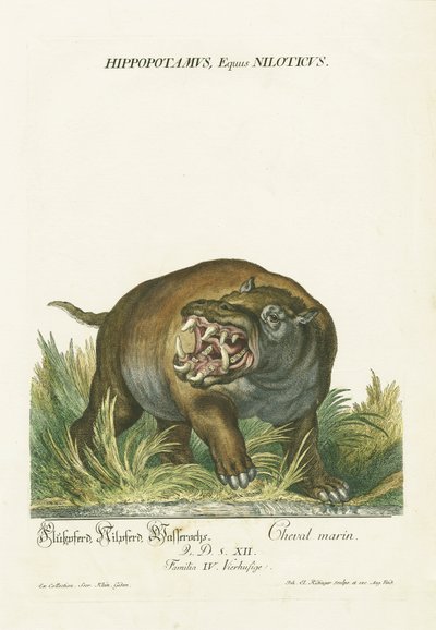  da Johann Elias Ridinger