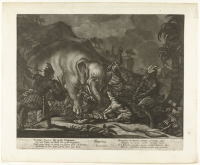 Caccia agli elefanti da Johann Elias Ridinger