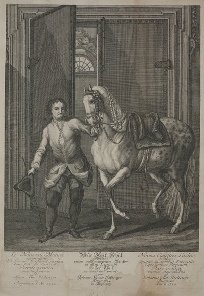 Nuova scuola di equitazione da Johann Elias Ridinger