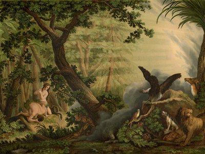 La caduta da Johann Elias Ridinger or Riedinger