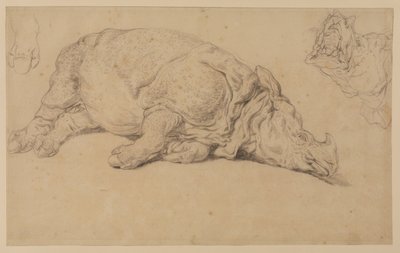 Rinoceronte sdraiato su un lato da Johann Elias Ridinger or Riedinger
