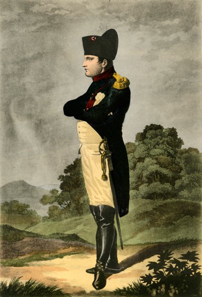 Napoleone, imperatore dei francesi e re d