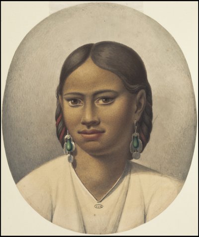 Una collezione delle opere originali di Waldeck sulla Mesoamerica, Scatola 4 di 22 da Johann Friedrich Maximilian von Waldeck
