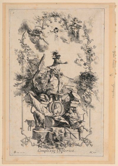 Design per un pannello che rappresenta il temperamento collerico da Johann Georg Bergmuller