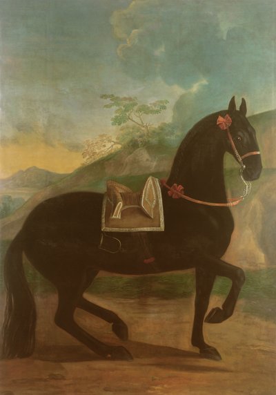 Un Cavallo Nero con Sella Spagnola da Johann Georg Hamilton