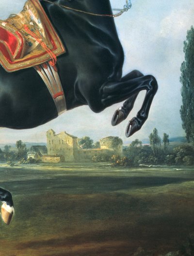 Un cavallo nero che esegue la Courbette (dettaglio) da Johann Georg Hamilton