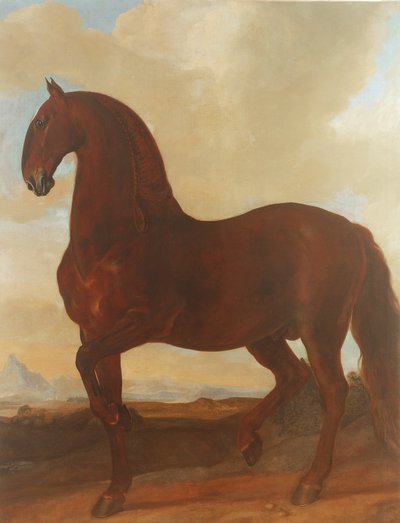 Lo Stallone Baio allo Stud Eisgruber da Johann Georg Hamilton