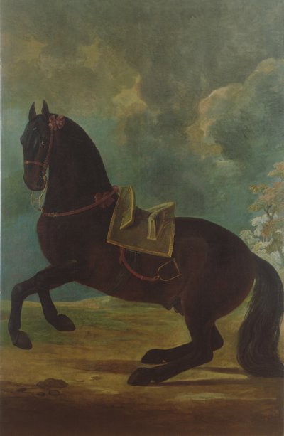 Lo stallone baio con sella spagnola da Johann Georg Hamilton