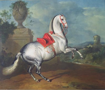 Il Grigio Pomellato al Galoppo da Johann Georg Hamilton