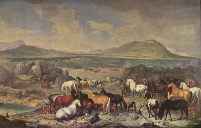 Lo Stud Imperiale con cavalli Lipizzani da Johann Georg Hamilton