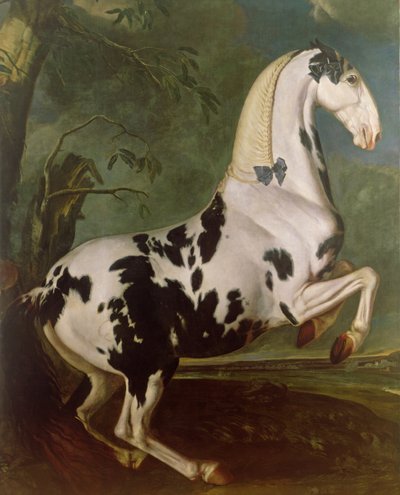 Lo stallone pezzato allo stud di Eisgruber da Johann Georg Hamilton