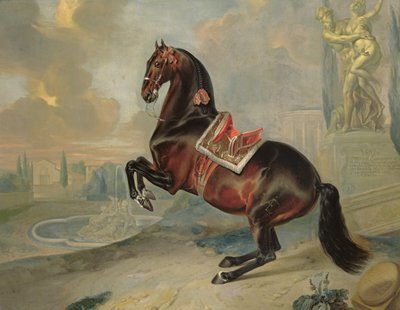 Il cavallo baio scuro 