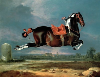 Il cavallo pezzato 