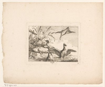 Paesaggio con sei anatre (Uccelli nei paesaggi) da Johann Georg Hertel (I) (possibly)