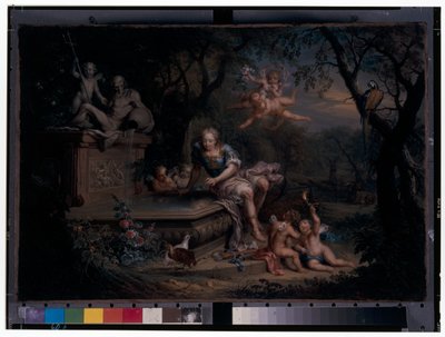 Narciso riflesso in un pozzo da Johann Georg Platzer