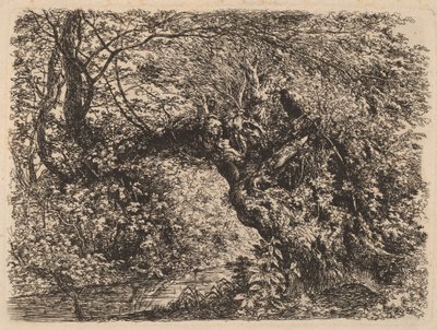 Un vecchio salice vicino a un ruscello da Johann Georg von Dillis