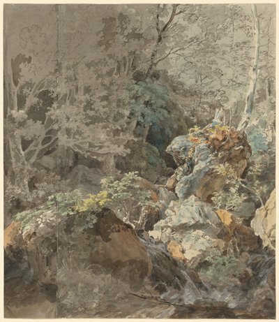 Cascate in una foresta di montagna, 1797 da Johann Georg von Dillis