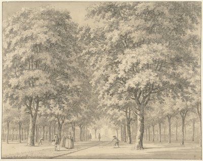 Il viale di una tenuta (Velserbeek?) da Johann Goll van Frankenstein (I)