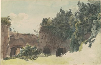 Rovine romane antiche ricoperte di alberi e cespugli da Johann Gottfried Klinsky