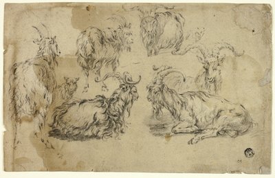 Schizzi di capre da Johann Gottlieb Hackert